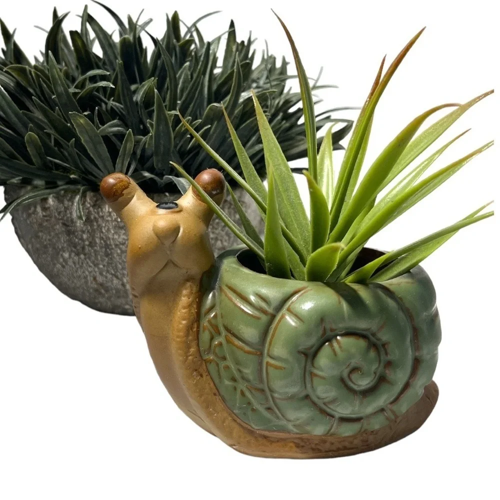 Terracotta Snail‎ Planter Pot for Succulent or Small Plants or Catchall for Desk